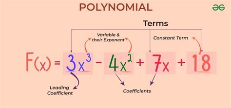 Polynomials .